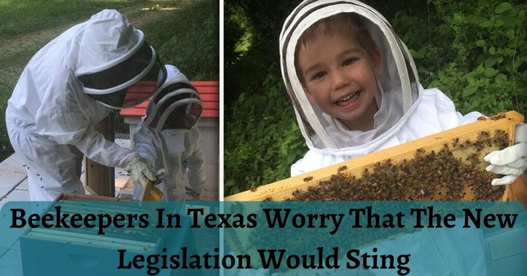 Beekeepers In Texas Worry That The New Legislation Would Sting