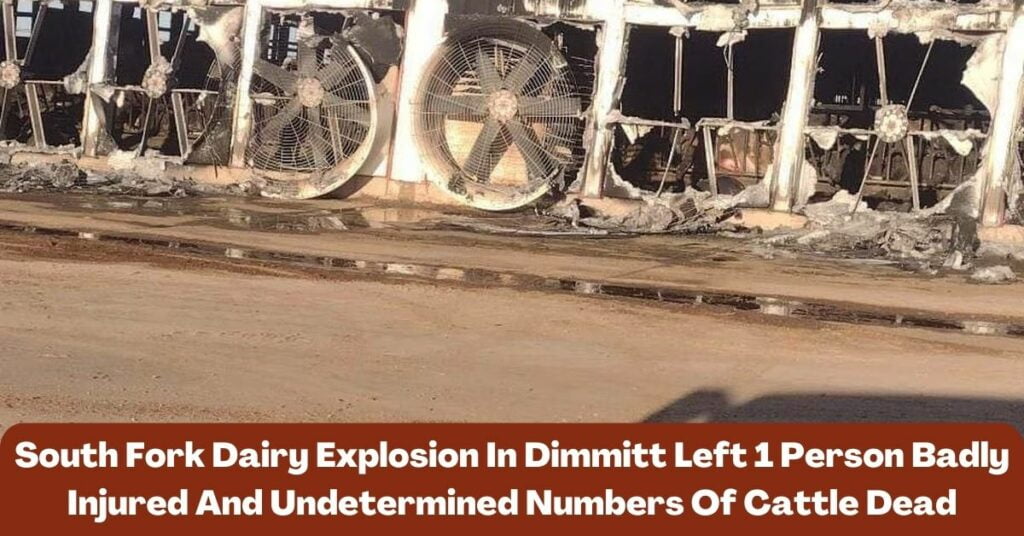 South Fork Dairy Explosion In Dimmitt Left 1 Person Badly Injured And Undetermined Numbers Of Cattle Dead