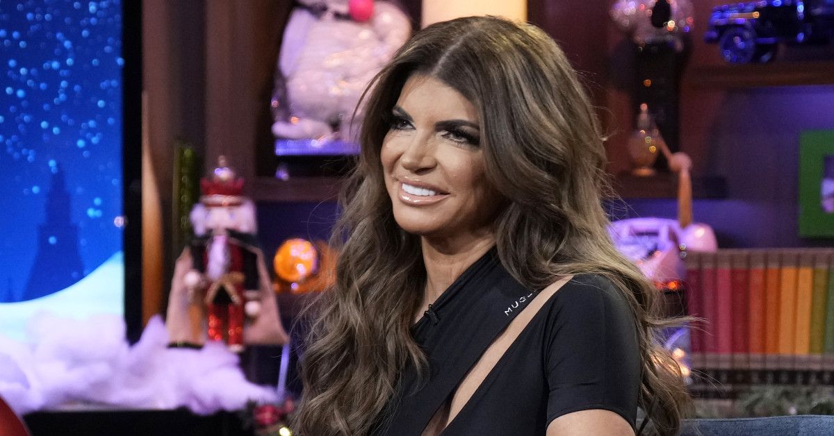 Teresa Giudice Career