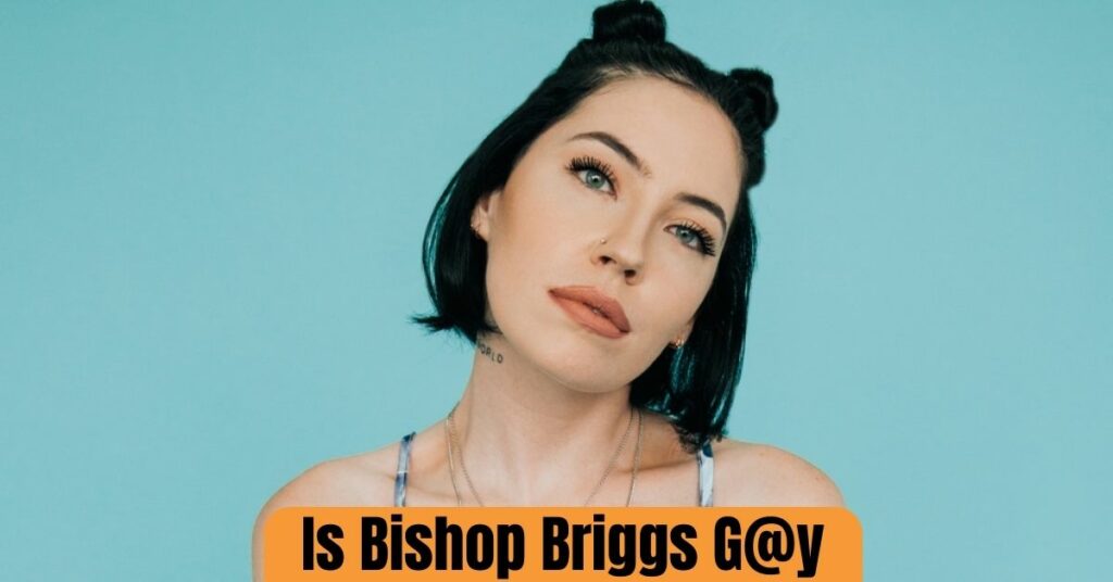 Is Bishop Briggs G@y