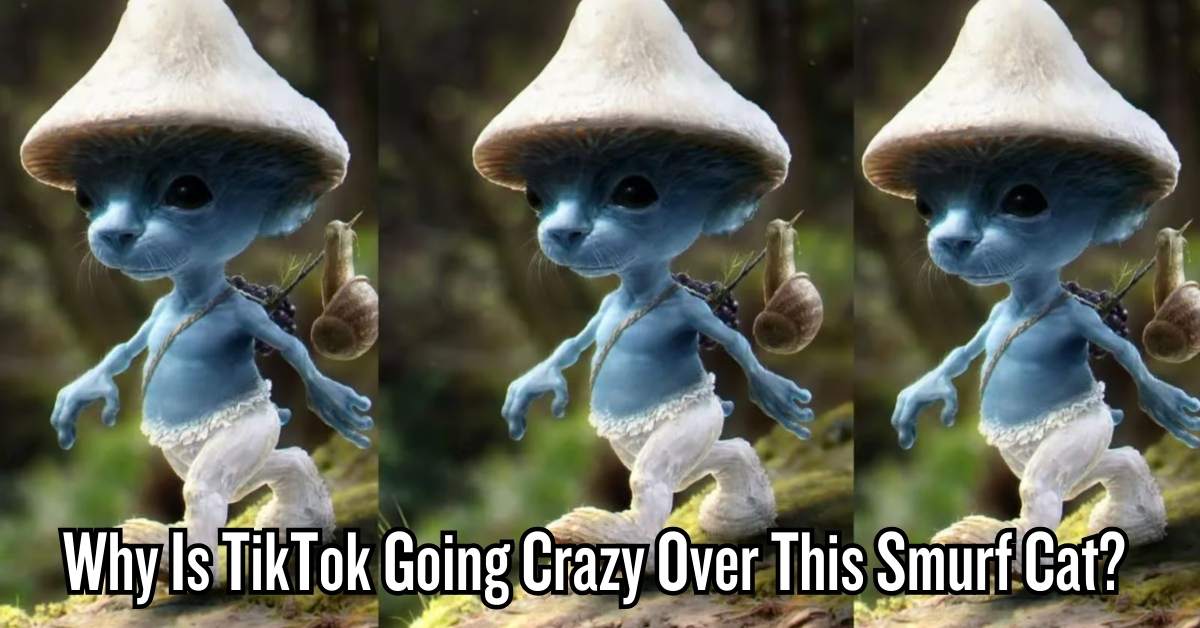 Why Is TikTok Going Crazy Over This Smurf Cat